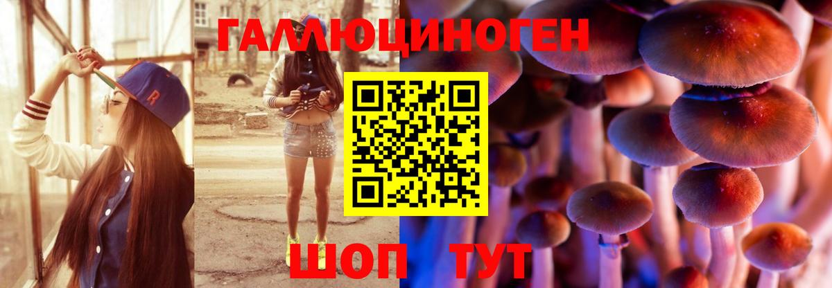 Полевской  закладки  Вход с VPN  Галлюциногенные грибы мухоморы 