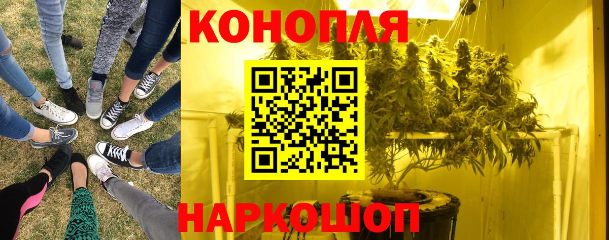 Марихуана Amnesia Полевской
